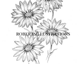 Daisy Coloring Page Etsy 340x270 Daisy Coloring Page Etsy