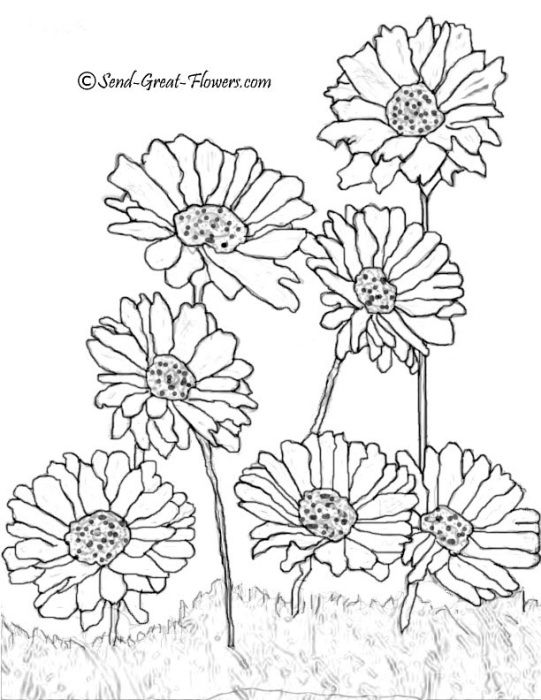 531 Best Flower Printables Images On Coloring Books 541x700 531 Best Flower Printables Images On Coloring Books
