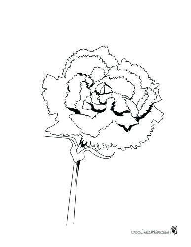 Mario Princess Daisy Coloring Pages Kids Drawing Of Daisy Flower 387x500 Mario Princess Daisy Coloring Pages Kids Drawing Of Daisy Flower