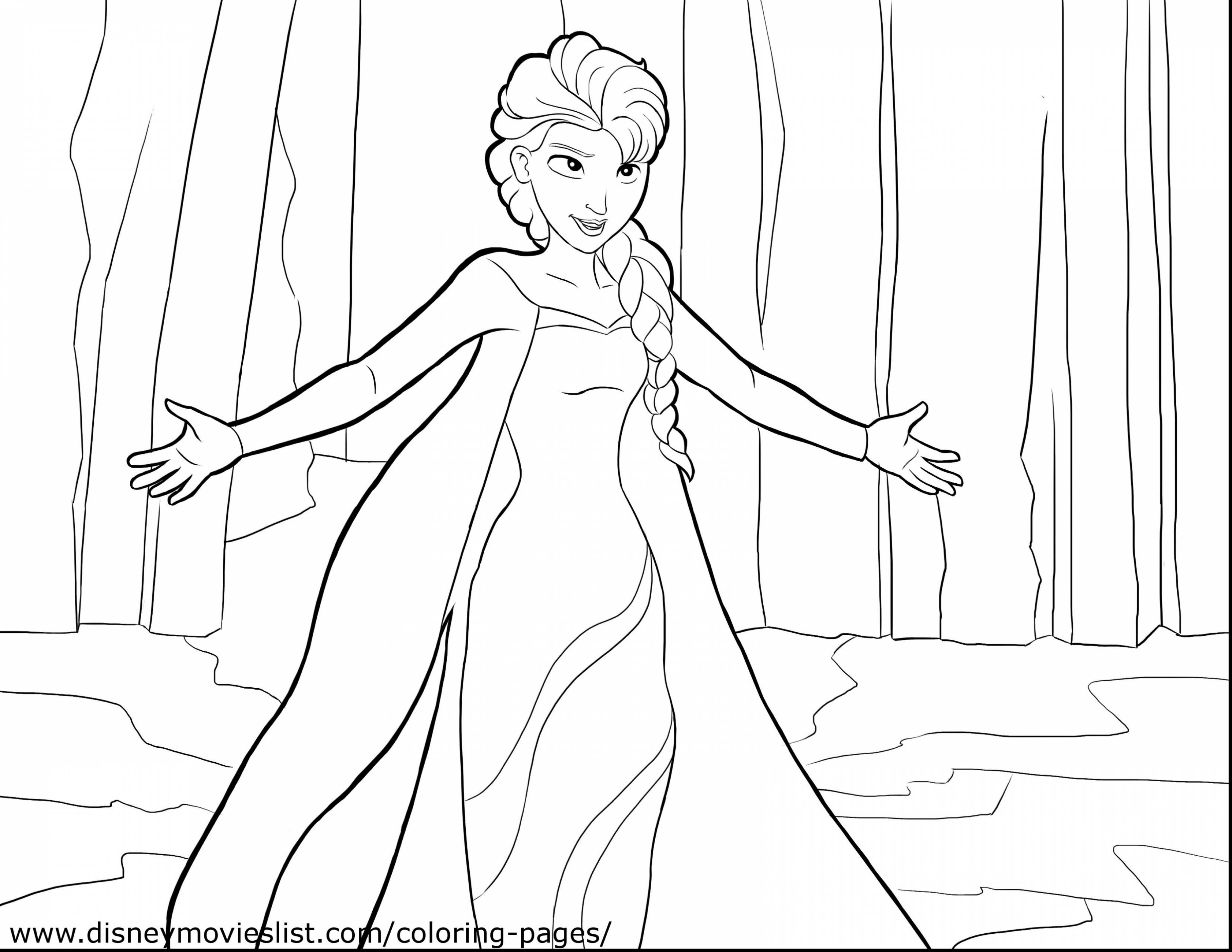 Awesome Daisy Flower Coloring Pages Festooning 3630x2805 Awesome Daisy Flower Coloring Pages Festooning