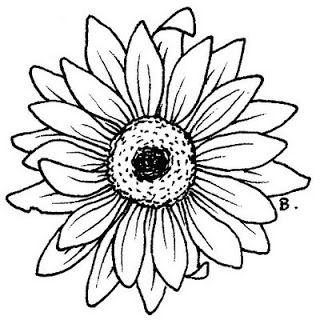 Beccy's Place Gerbera Flower, Gerbera 320x320 Beccy's Place Gerbera Flower, Gerbera