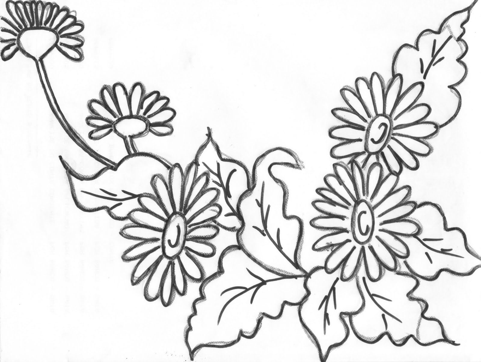 Best Daisy Flower Outline Clip Art On Pict Of Coloring Pages 1600x1206 Best Daisy Flower Outline Clip Art On Pict Of Coloring Pages