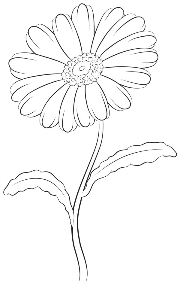 Find This Pin And More On Flower Stamps, Doodles Amp Drawings 600x952 Find This Pin And More On Flower Stamps, Doodles Amp Drawings