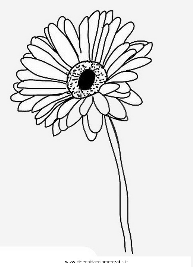 621x860 Gerber Daisy Coloring Pages