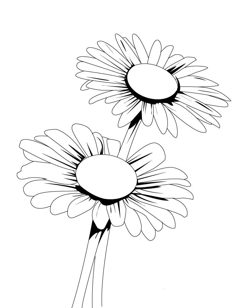 Resultado De Imagen Para Dibujos De Flores De Margaritas Muchos 820x1060 Resultado De Imagen Para Dibujos De Flores De Margaritas Muchos