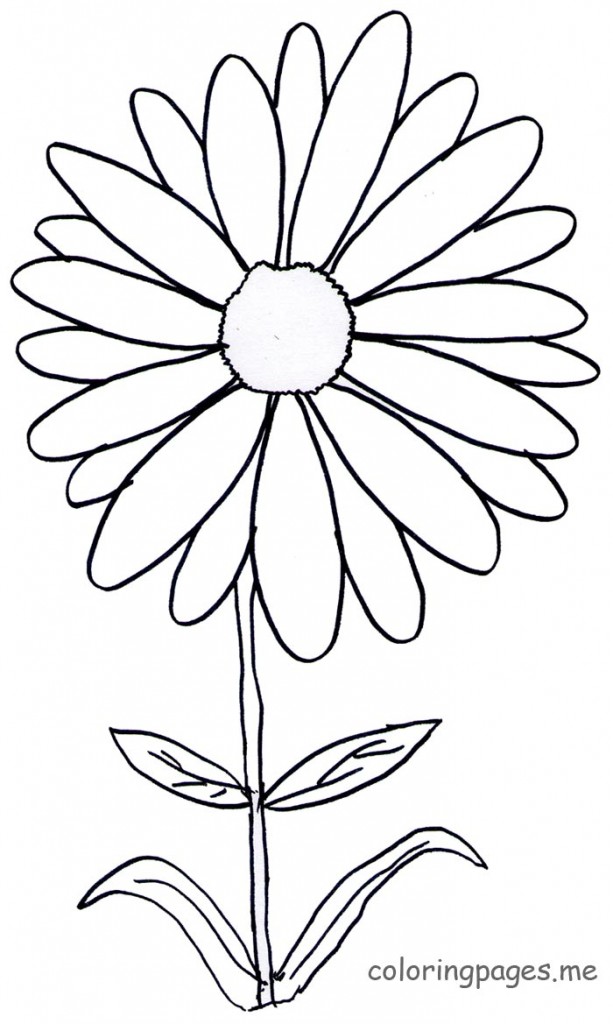 Coloring Pages Daisy Intended For Decor 13 613x1024 Coloring Pages Daisy Intended For Decor 13