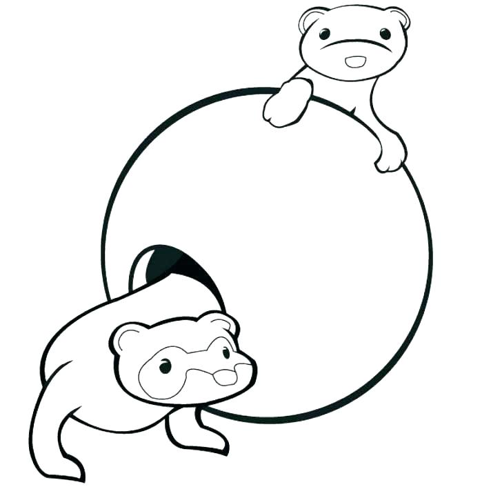 Ferret Coloring Pages Ferret Coloring Pages Ferret Coloring Pages 712x722 Ferret Coloring Pages Ferret Coloring Pages Ferret Coloring Pages