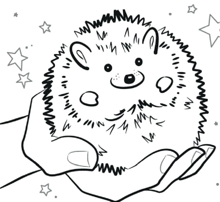 Gerbil Coloring Pages Gerbil Coloring And Printable Page Gerbil 712x654 Gerbil Coloring Pages Gerbil Coloring And Printable Page Gerbil