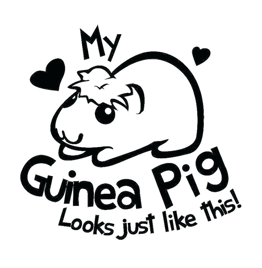 Coloring Gerbil Coloring Pages Guinea Pig Page Free Printable 837x855 Coloring Gerbil Coloring Pages Guinea Pig Page Free Printable