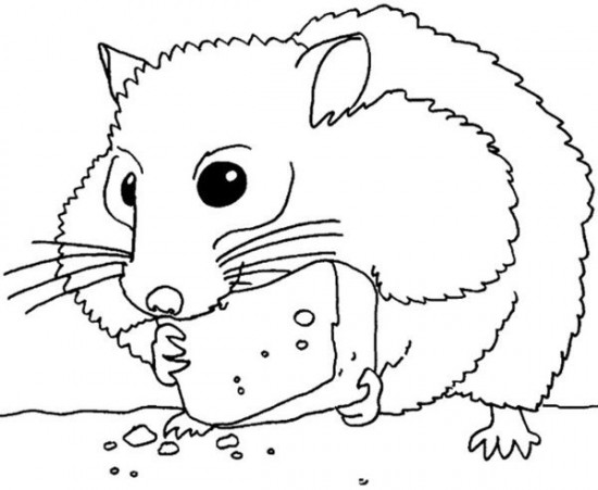 Hamster Coloring 550x451 Hamster Coloring