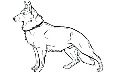 470x313 German Coloring Pages Drawn Shepherd Coloring Page Pencil And