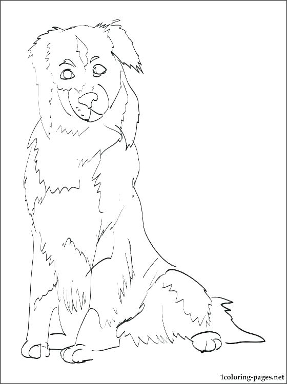 German Shepherd Puppy Coloring Pages Shepherd Coloring Pages 560x750 German Shepherd Puppy Coloring Pages Shepherd Coloring Pages