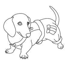 German Shepherd Puppy Coloring Pages 220x220 German Shepherd Puppy Coloring Pages