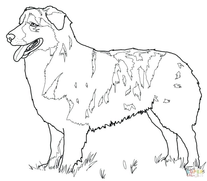 Realistic German Shepherd Coloring Pages Page Printable Flag Puppy 728x636 Realistic German Shepherd Coloring Pages Page Printable Flag Puppy