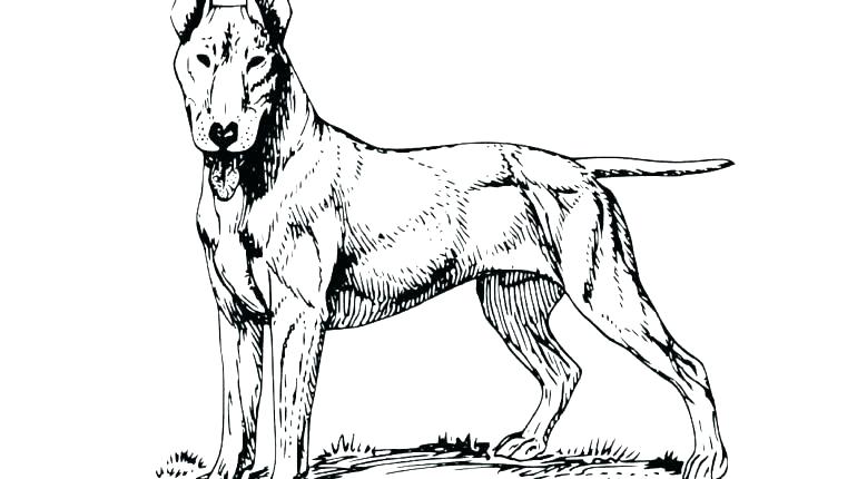 Shepherd Coloring Pages Shepherd Coloring Page Good Shepherd 770x430 Shepherd Coloring Pages Shepherd Coloring Page Good Shepherd