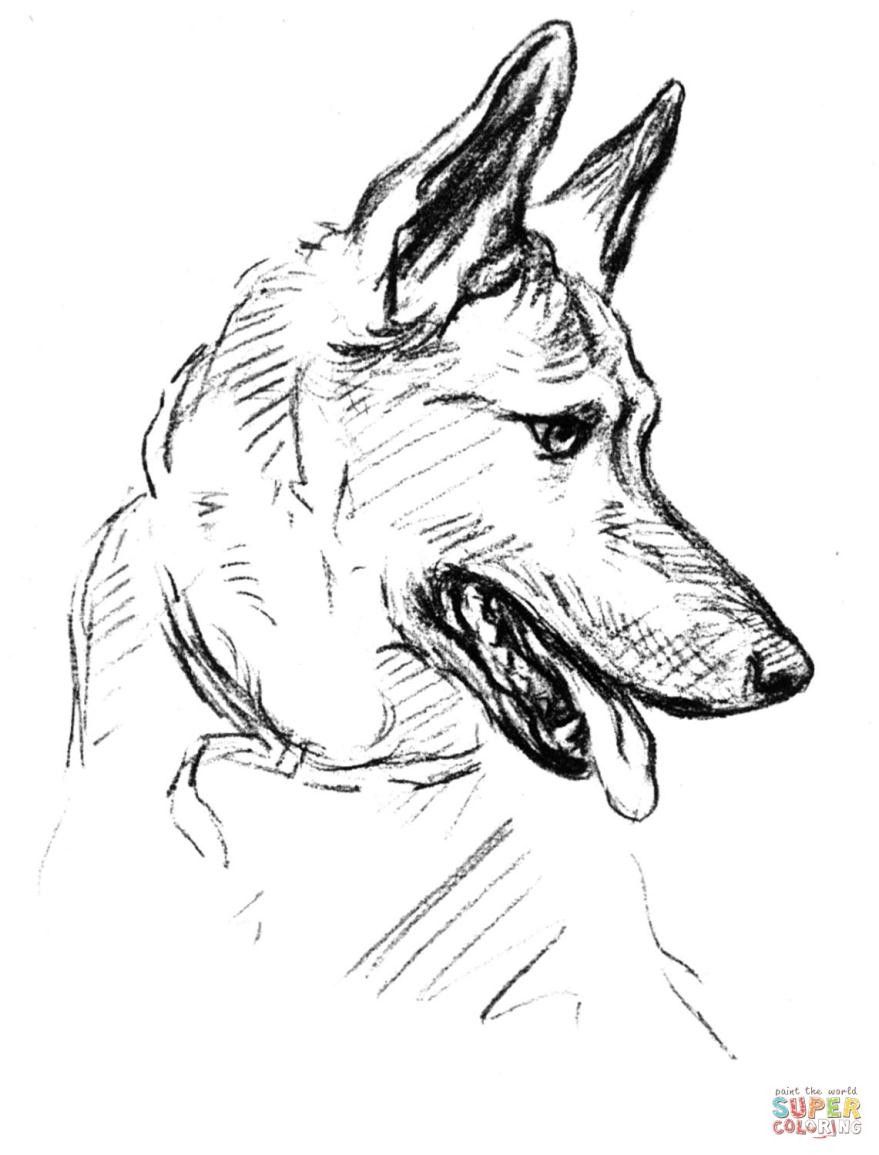 Baby German Shepherd Coloring Pages Mrengmeng.link Printable 879x1155 Baby German Shepherd Coloring Pages Mrengmeng.link Printable