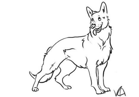 German Shepherd Coloring Pages To Download And Print For Free 470x329 German Shepherd Coloring Pages To Download And Print For Free
