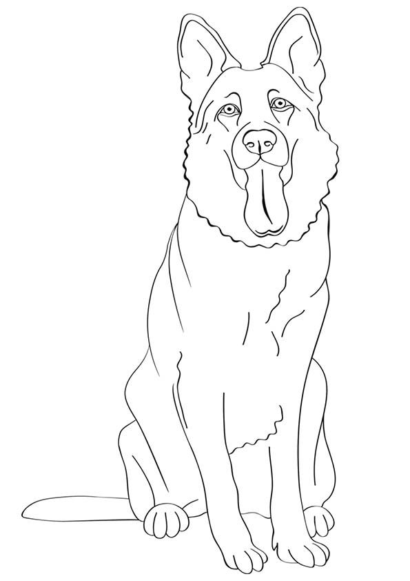 Free Printable Dogs And Puppies Coloring Pages For Kids German 595x842 Free Printable Dogs And Puppies Coloring Pages For Kids German