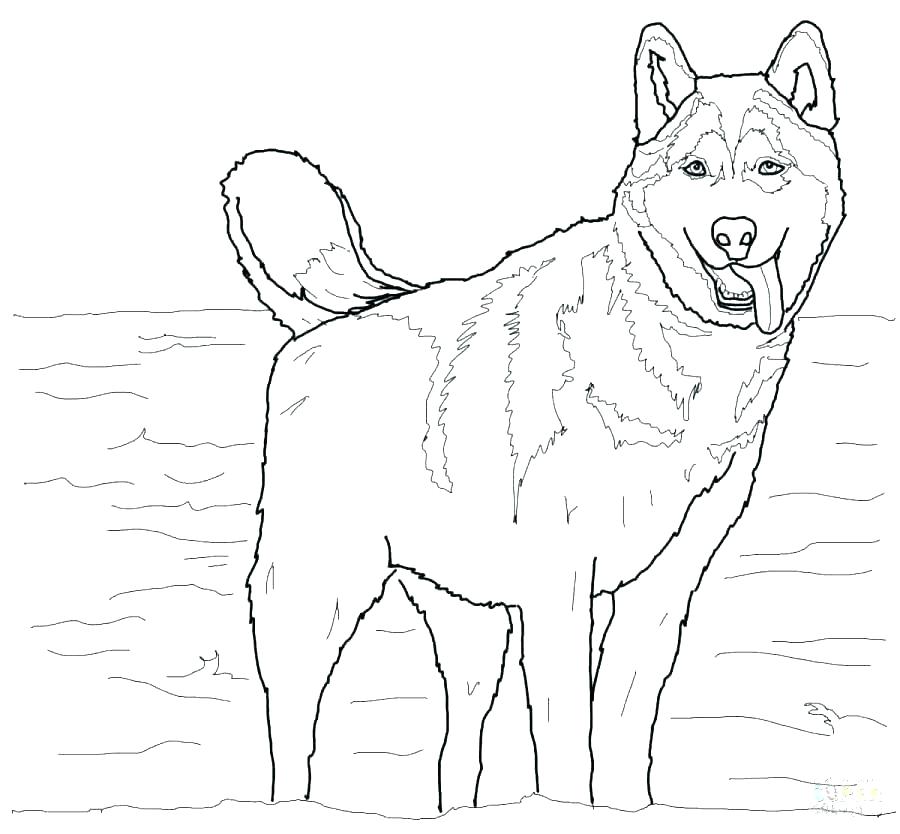 German Coloring Pages Coloring Pages Coloring Pages Coloring Page 900x834 German Coloring Pages Coloring Pages Coloring Pages Coloring Page