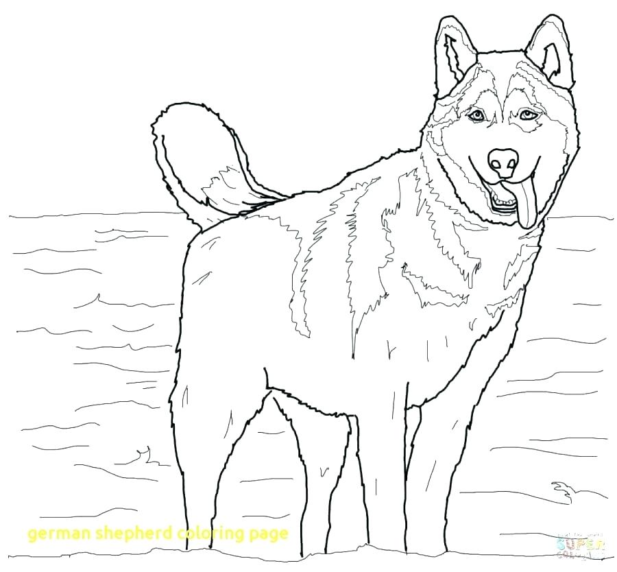 German Shepherd Coloring Pages 900x834 German Shepherd Coloring Pages