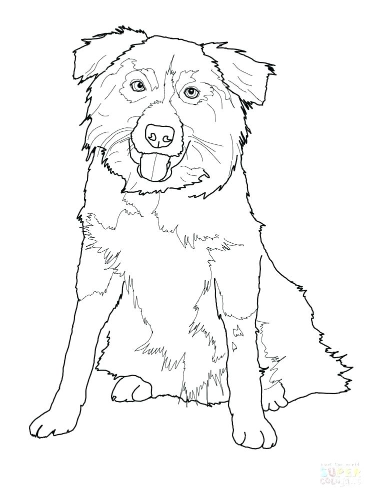 German Shepherd Coloring Pages Shepherd Coloring Page Shepherd 736x981 German Shepherd Coloring Pages Shepherd Coloring Page Shepherd