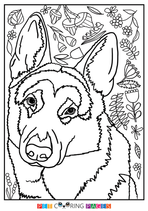 German Shepherd Dog Coloring Page 500x711 German Shepherd Dog Coloring Page
