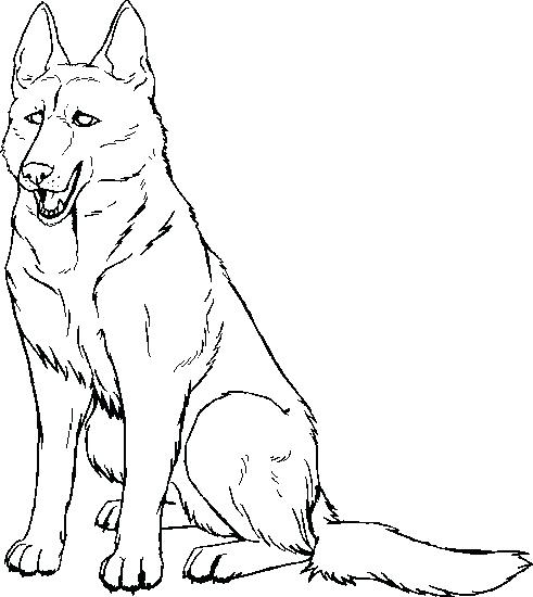 Printable German Shepherd Dog Coloring Pages Free Image Pug Photos 491x550 Printable German Shepherd Dog Coloring Pages Free Image Pug Photos