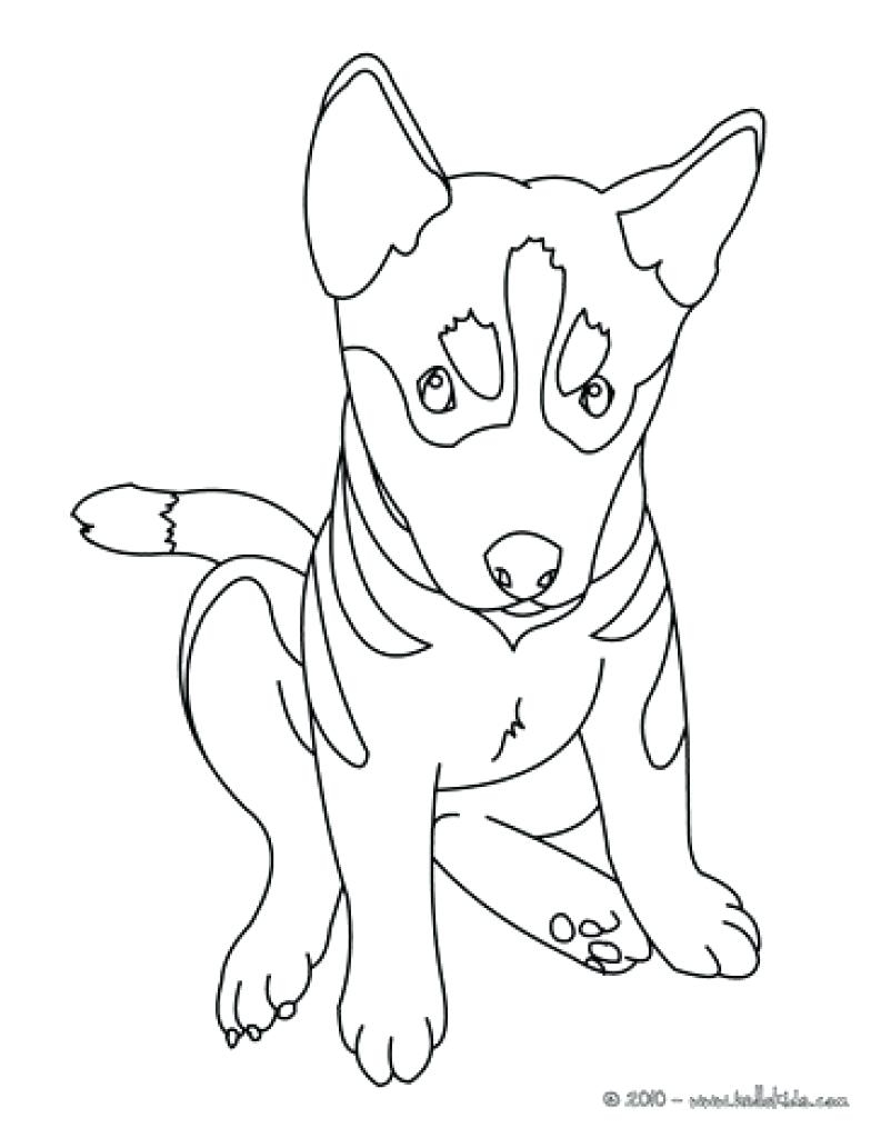 Professional German Shepherd Puppy Coloring Pages Best Of Shepard 793x1024 Professional German Shepherd Puppy Coloring Pages Best Of Shepard
