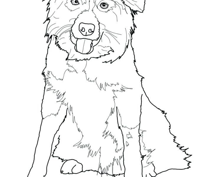 Shepherd Coloring Pages The Good Shepherd Coloring Pages Birth 678x600 Shepherd Coloring Pages The Good Shepherd Coloring Pages Birth