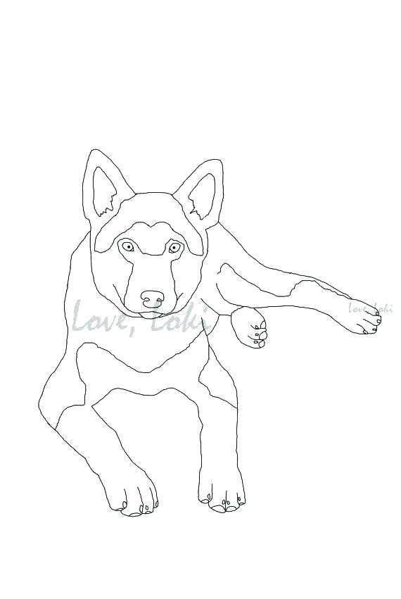 German Shepherd Coloring Pages 570x851 German Shepherd Coloring Pages