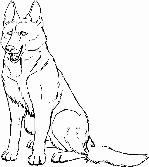 491x550 German Shepherd Coloring Pages Free Gallery German Shepherd Puppy