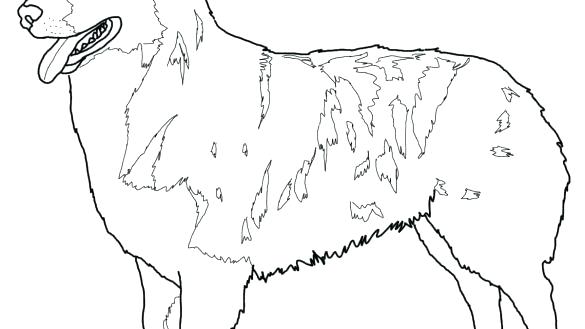 585x329 German Shepherd Coloring Pages Shepherd Puppy Coloring Page German