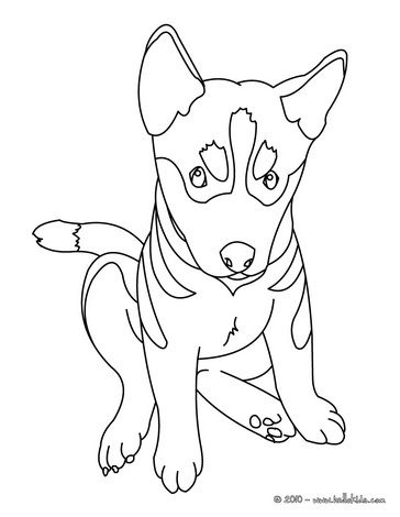 364x470 German Shepherd Puppy Kids And Pets Coloring Pages