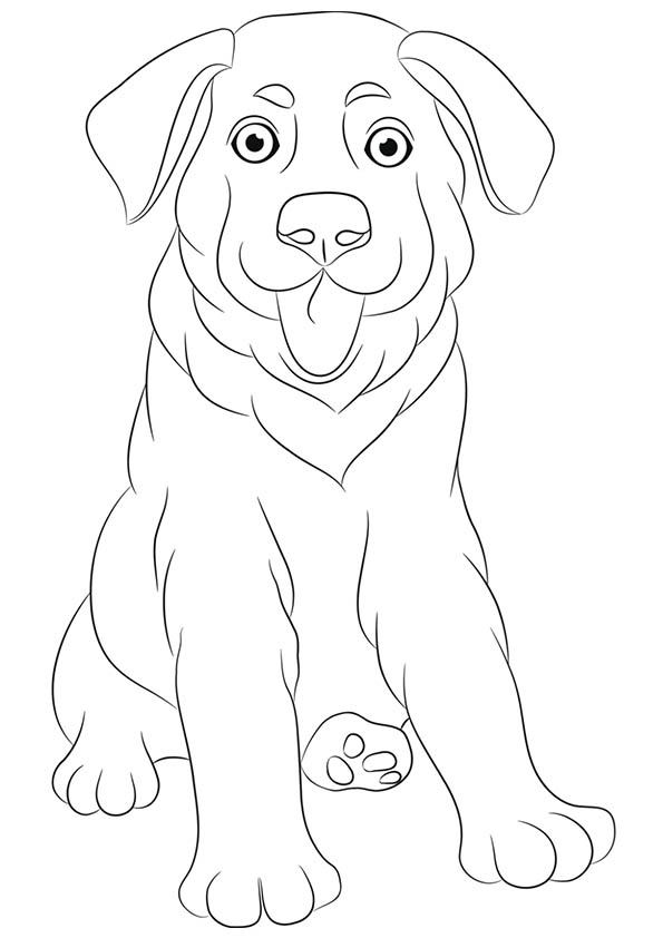 595x842 Free Printable Dogs And Puppies Coloring Pages For Kids