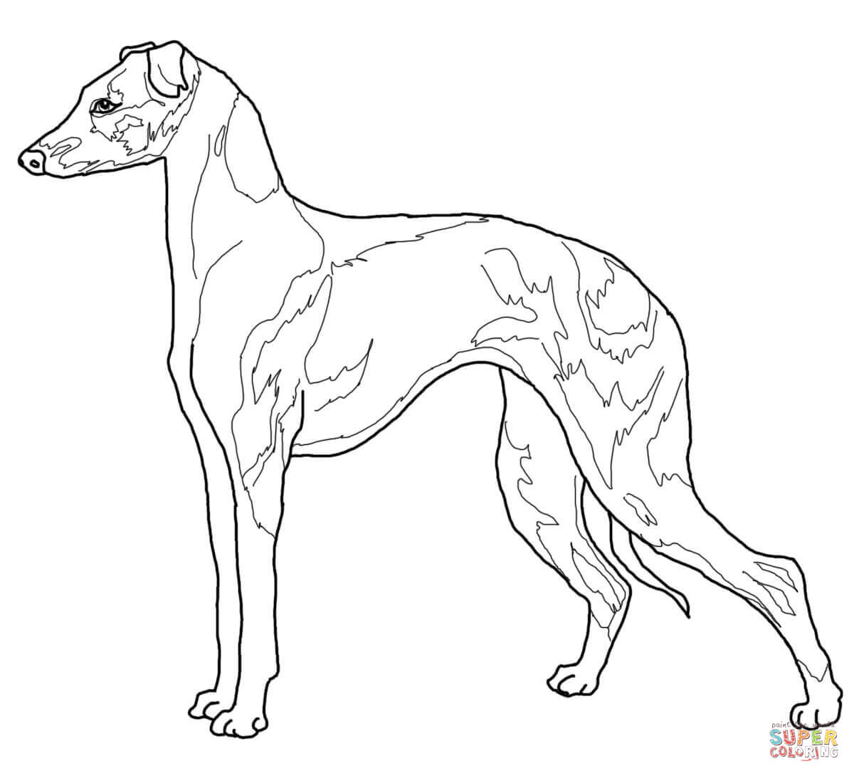 Greyhound Coloring Pages 1200x1090 Greyhound Coloring Pages