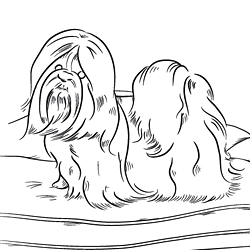 Online Coloring Pages Of Your Favorite Dog Breed 250x250 Online Coloring Pages Of Your Favorite Dog Breed