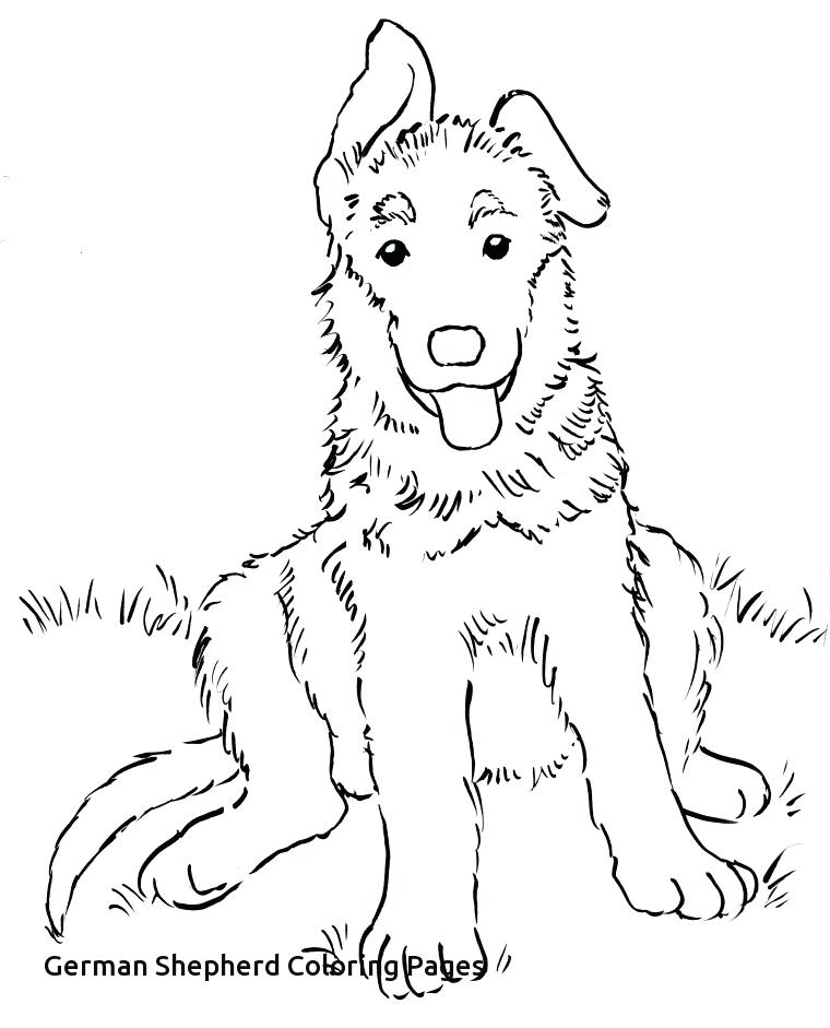 German Coloring Pages Shepherd Coloring Pages Printable 760x941 German Coloring Pages Shepherd Coloring Pages Printable