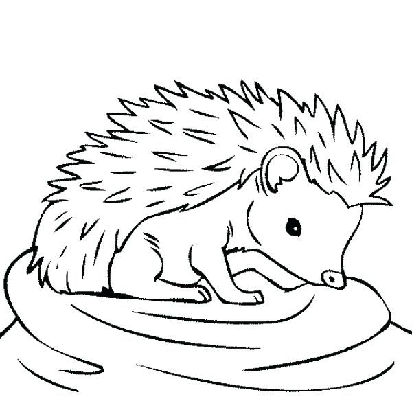 600x600 Awesome Feel Better Coloring Pages For Simple Nature Coloring