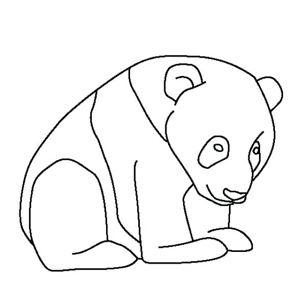 600x600 Giant Panda Coloring Page Coloring Pages Of Pandas Plus Panda