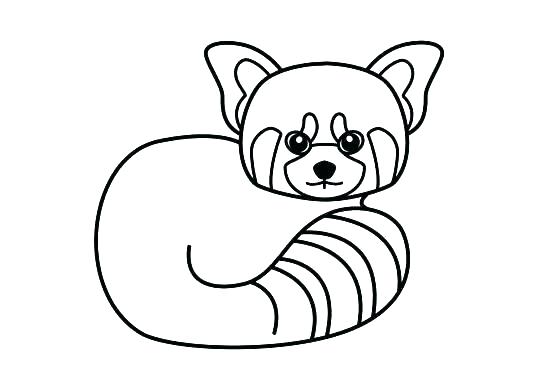 537x390 Cute Panda Coloring Pages Giant Panda Coloring Page Coloring Pages