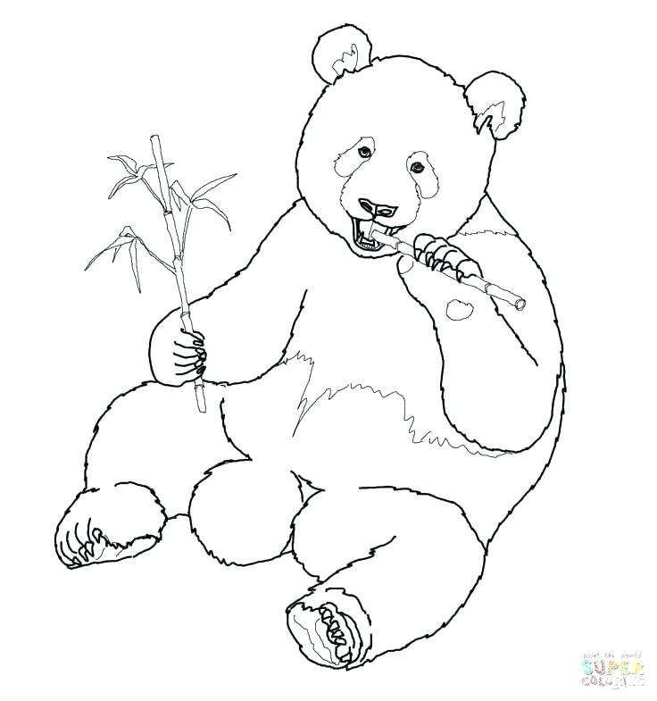 736x785 Cute Panda Coloring Pages Giant Panda Coloring Page Coloring Panda