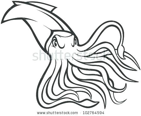 450x369 Squid Coloring Pages Medium Size Of Squid Coloring Pages