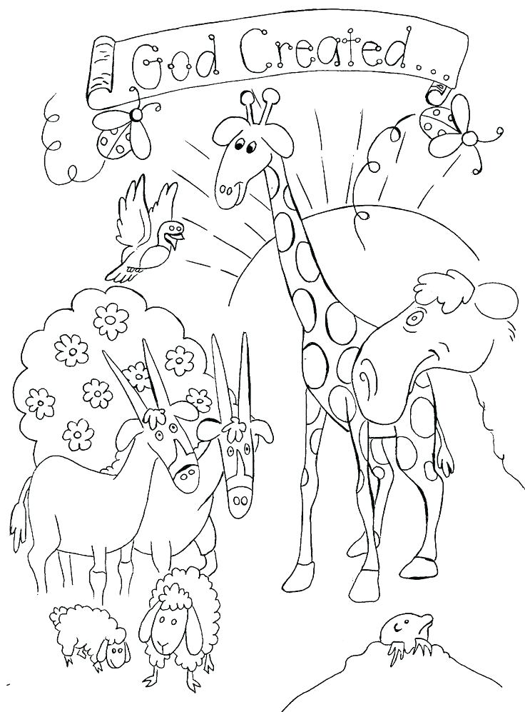 736x997 Coloring Pages Bible Stories Free Bible Creation Coloring Pages