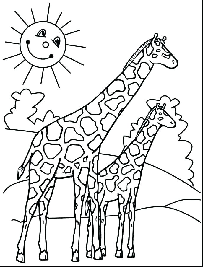 687x904 Giraffe Coloring Pages Printable Printable Gir Colori Pages