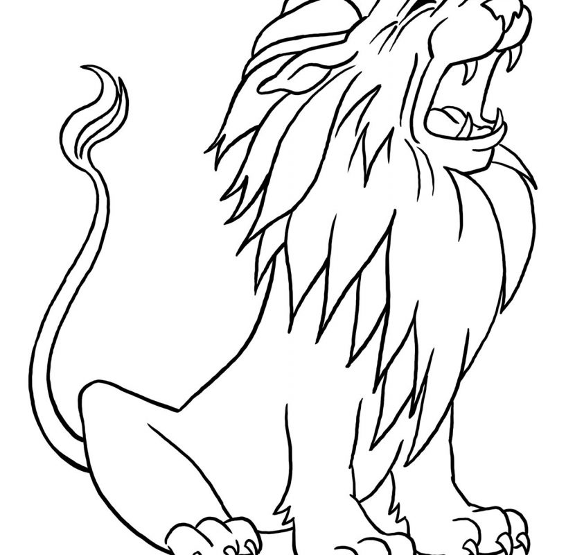 817x800 Coloring Pages Animals Asian Lions And Other To Print Lion Page