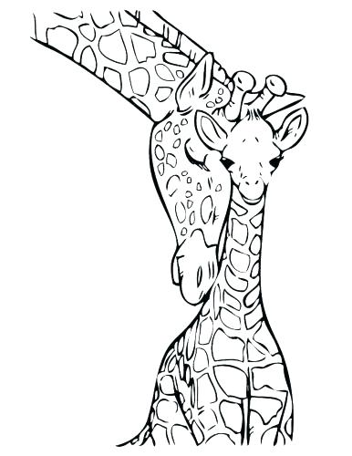 386x500 Giraffes Coloring Pages Critter And Cartoon Coloring Pages Giraffe