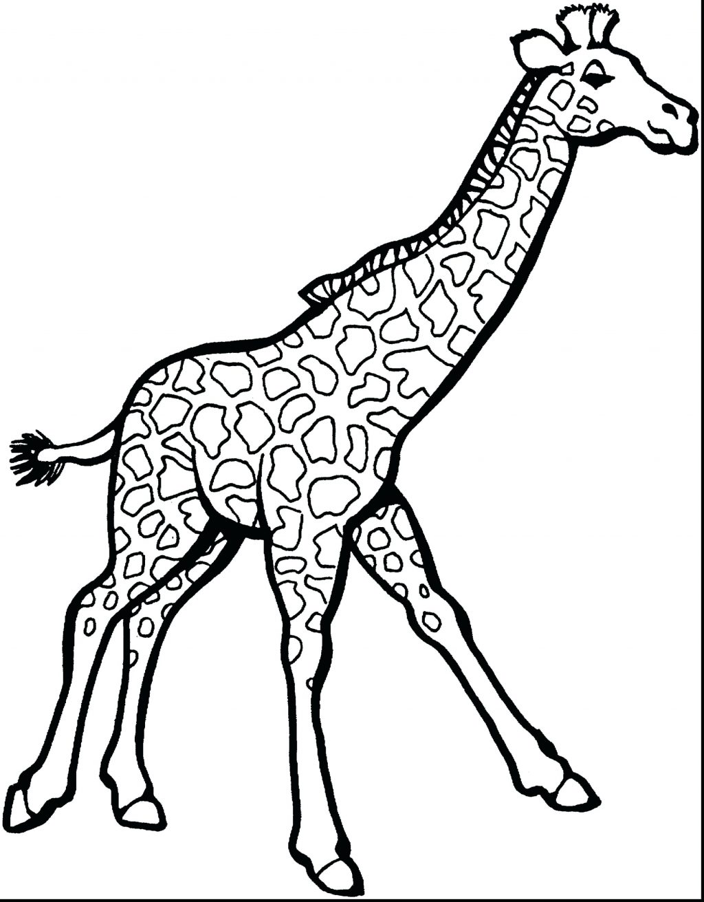 1024x1311 Coloring Pages ~ Zoo Animals Coloring Pages Giraffe Cartoon Page