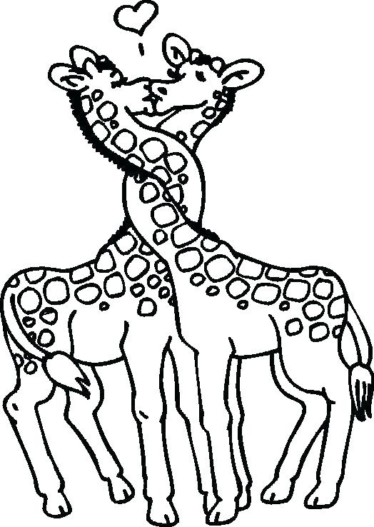 524x738 Giraffe Coloring Page Giraffe Coloring Page Giraffe Giraffe