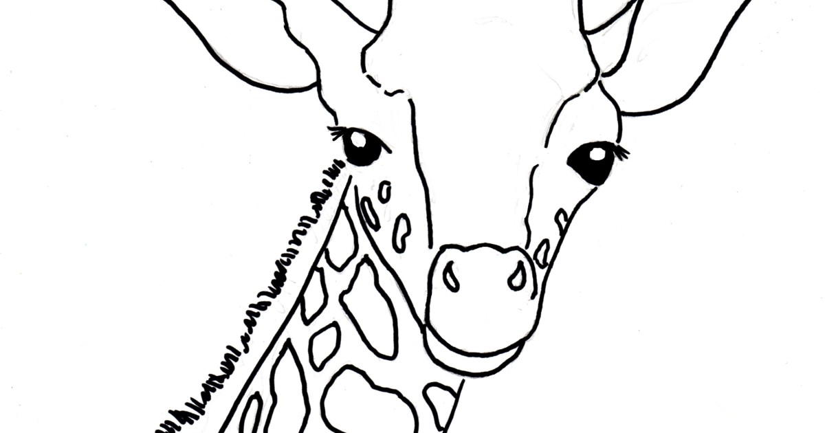 1200x630 Baby Giraffe Coloring Page