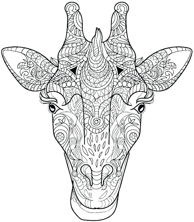 640x731 Giraffe Coloring Pages Giraffe Head Coloring Sheet Giraffe